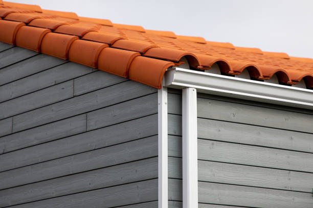 Fascia